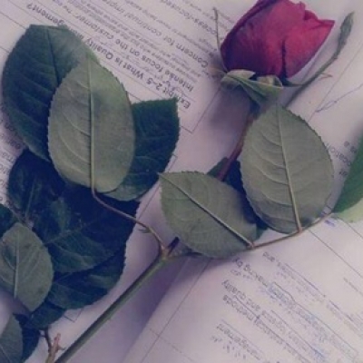 منااال أنا بنت حلال من السعودية أبحث عن زوج - موقع زواج عرسان منااال أنا بنت حلال من السعودية أبحث عن زوج - موقع زواج عرسان