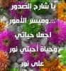 wadll أنا أبن حلال من سوريا أبحث عن زوجة - موقع زواج عرسان wadll أنا أبن حلال من سوريا أبحث عن زوجة - موقع زواج عرسان