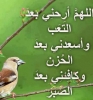 لعضايم أنا بنت حلال من المغرب أبحث عن زوج - موقع زواج عرسان لعضايم أنا بنت حلال من المغرب أبحث عن زوج - موقع زواج عرسان