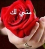 القلب اطيب أنا أبن حلال من اليمن أبحث عن زوجة - موقع زواج عرسان القلب اطيب أنا أبن حلال من اليمن أبحث عن زوجة - موقع زواج عرسان