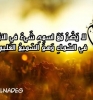الداعية أنا أبن حلال من كندا أبحث عن زوجة - موقع زواج عرسان الداعية أنا أبن حلال من كندا أبحث عن زوجة - موقع زواج عرسان