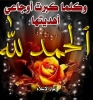 redouqne  أنا أبن حلال من الجزائر  أبحث  عن زوجة - موقع زواج عرسان
