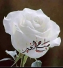 احلام جميلة  أنا بنت حلال من مصر  أبحث  عن زوج - موقع زواج عرسان