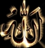 نبيل999999  أنا أبن حلال من اليمن  أبحث  عن زوجة - موقع زواج عرسان
