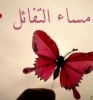 ضضضة أنا بنت حلال من المغرب أبحث عن زوج - موقع زواج عرسان ضضضة أنا بنت حلال من المغرب أبحث عن زوج - موقع زواج عرسان